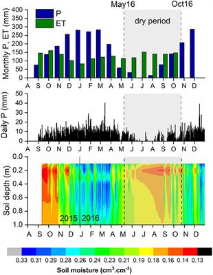 Dry season rainfall as a source of transpired water in a seasonal, evergreen forest in the western Amazon region inferred by water stable isotopes